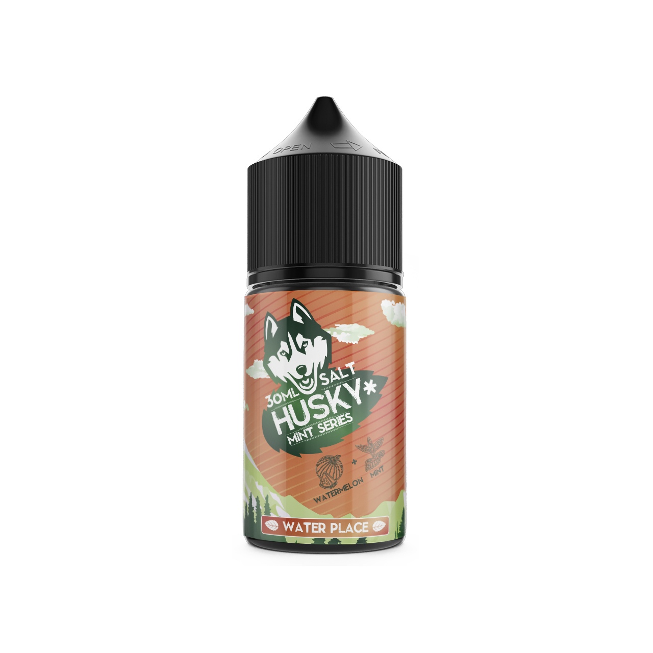 Жидкость ЧЗ HUSKY Mint Series SALT Water Place. фото 1