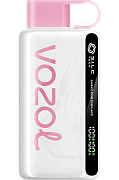 Набор ЧЗ Vozol STAR-10000 (освежающая мята 2%)
