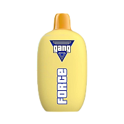 Набор ЧЗ Gang Force 10000 (банан киви 2%)