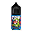 Жидкость ЧЗ Slime Arctic SALT Садовая Малина