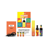 Набор MGO Gemini (виноград морозный манго, маракуйя 2%)